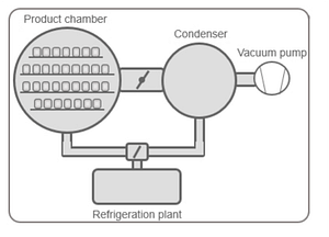 Figura 1. Esquema básico de un proceso de liofilizado.
